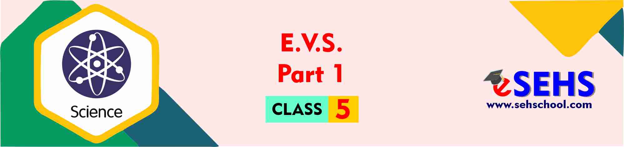 5th EVS1