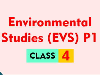 What is the Full Form of EVS?